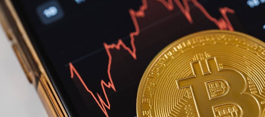 5 NFT projects you should learn about